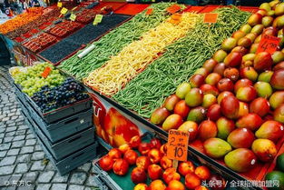 打通城乡桥梁 推动农村农产品走向城市市场的策略与路径