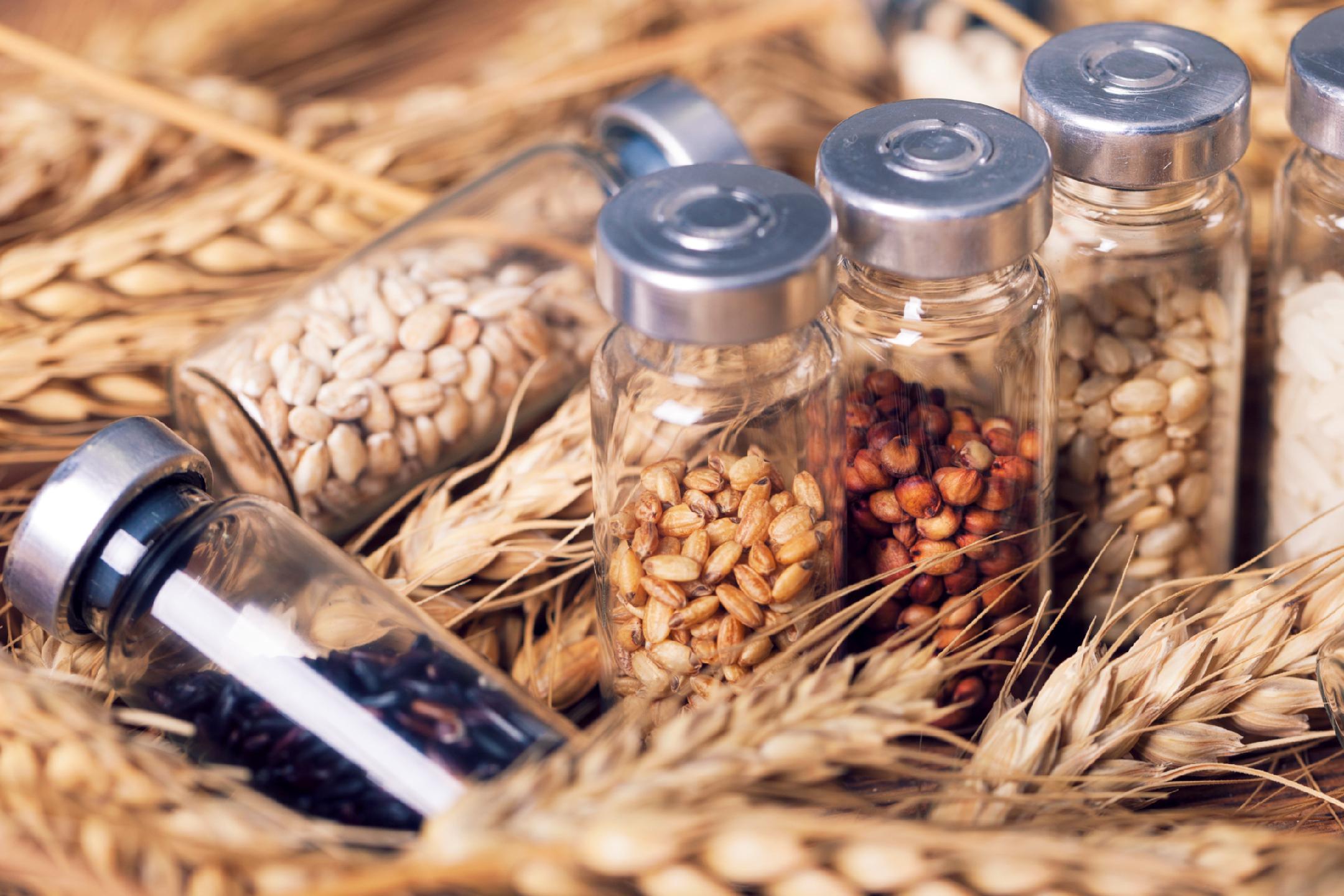 先行先试 构建农产品营销服务体系，助力乡村振兴