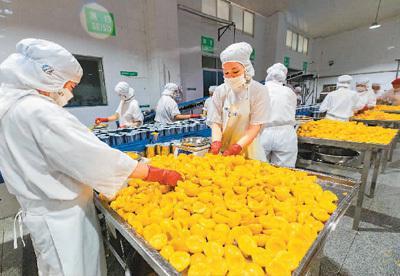 V型反转！中国农业外贸展现强韧发展势头