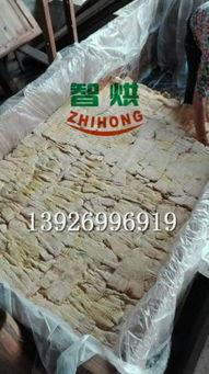 竹笋烘干机 农产品加工利器，厂价直销，高效节能