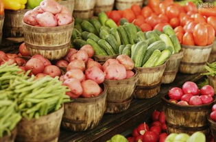 芝加哥农产品期价23日涨跌不一，市场供需博弈持续