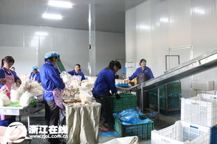 丽水生态精品农业 绿水青山引凤栖，特色农产品焕新机