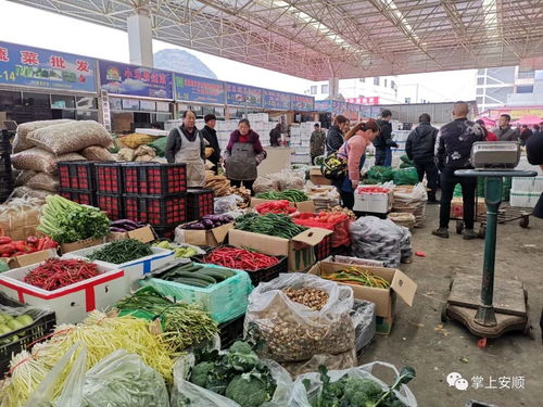 供应充足采购旺，农产品批发市场迎购销热潮